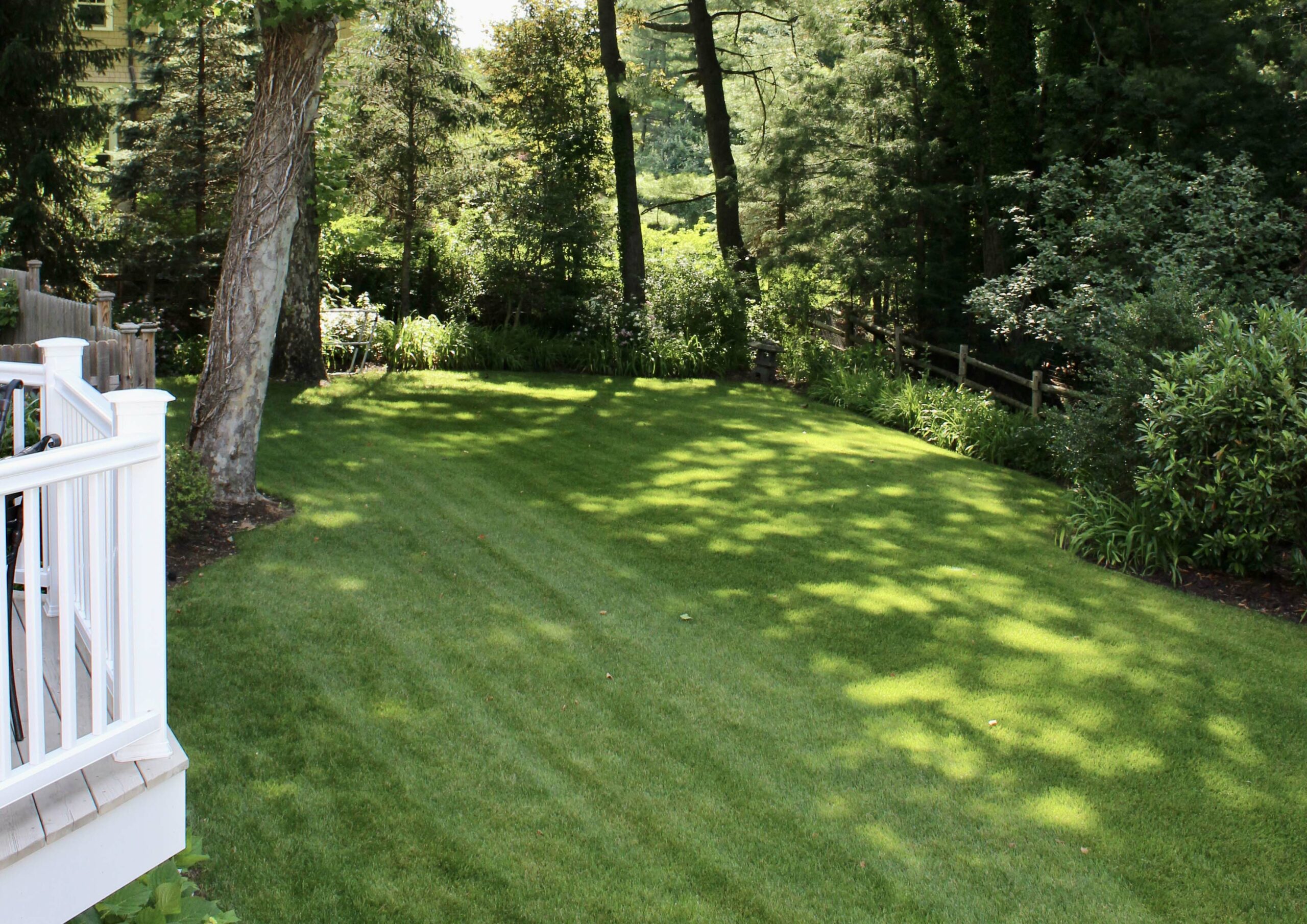 333 Oxford Drive, Short Hills - Yard & Back of House